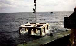 sindo05